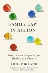 book: Family Law in Action