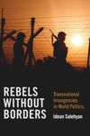 Rebels without Borders