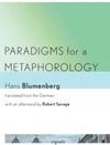 book: Paradigms for a Metaphorology