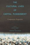 The Cultural Lives of Capital Punishment