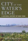 City at the Water's Edge