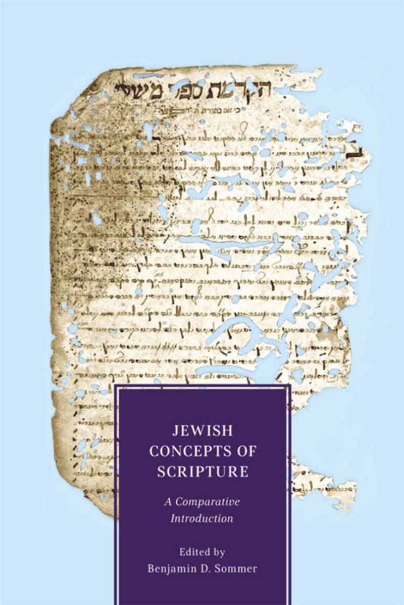 book: Jewish Concepts of Scripture