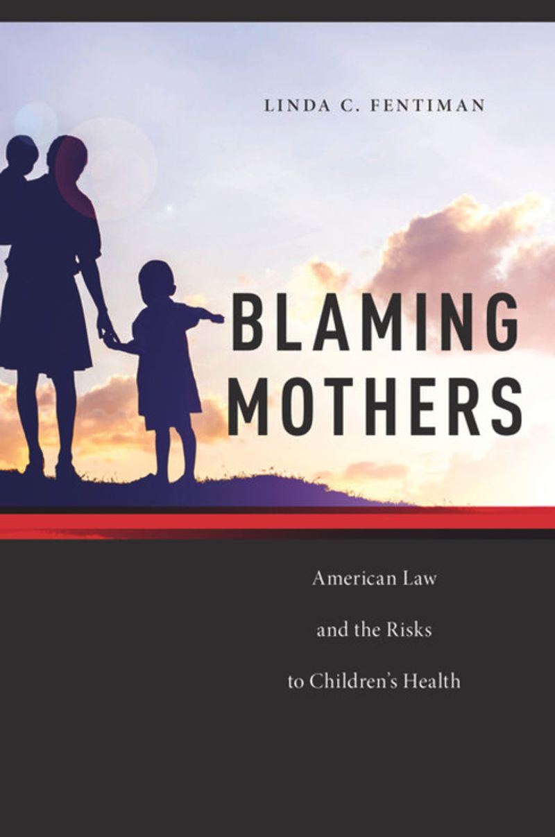 book: Blaming Mothers
