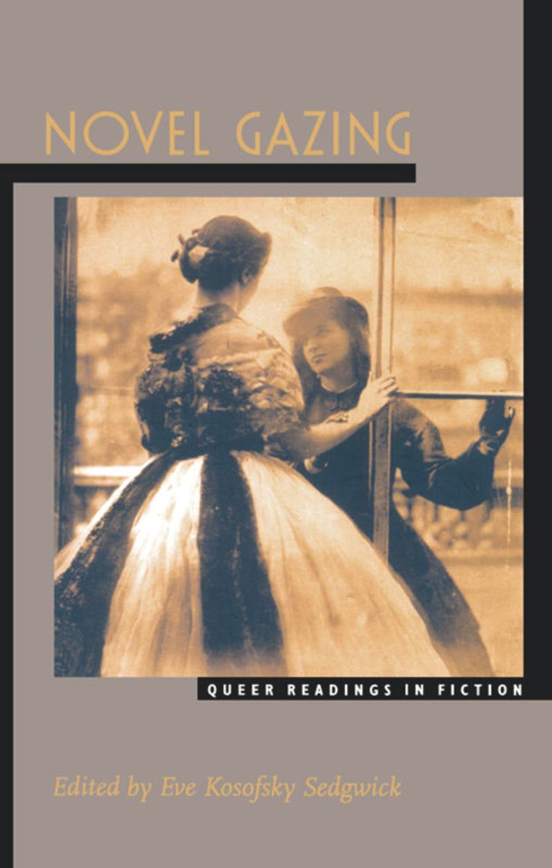 book: Novel Gazing