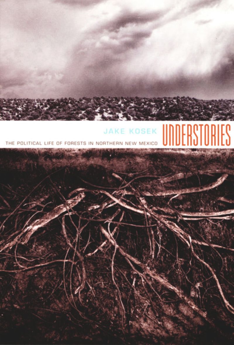 book: Understories
