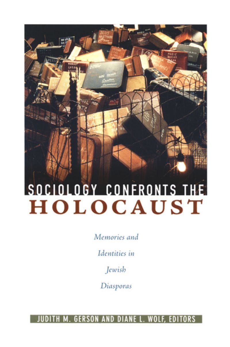 book: Sociology Confronts the Holocaust