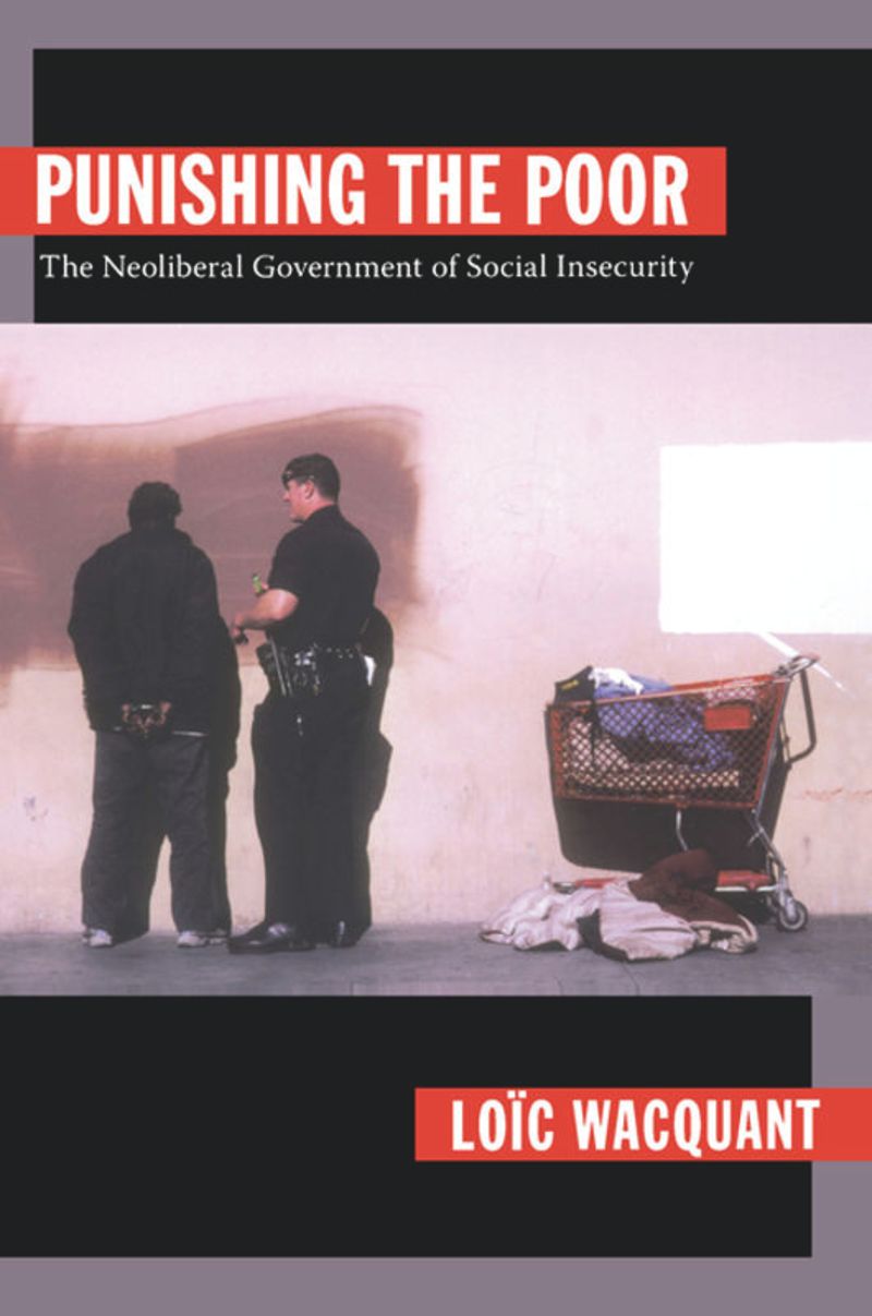 book: Punishing the Poor
