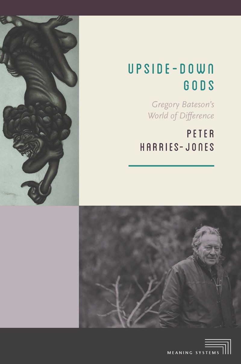 book: Upside-Down Gods