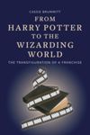 From Harry Potter to the Wizarding World