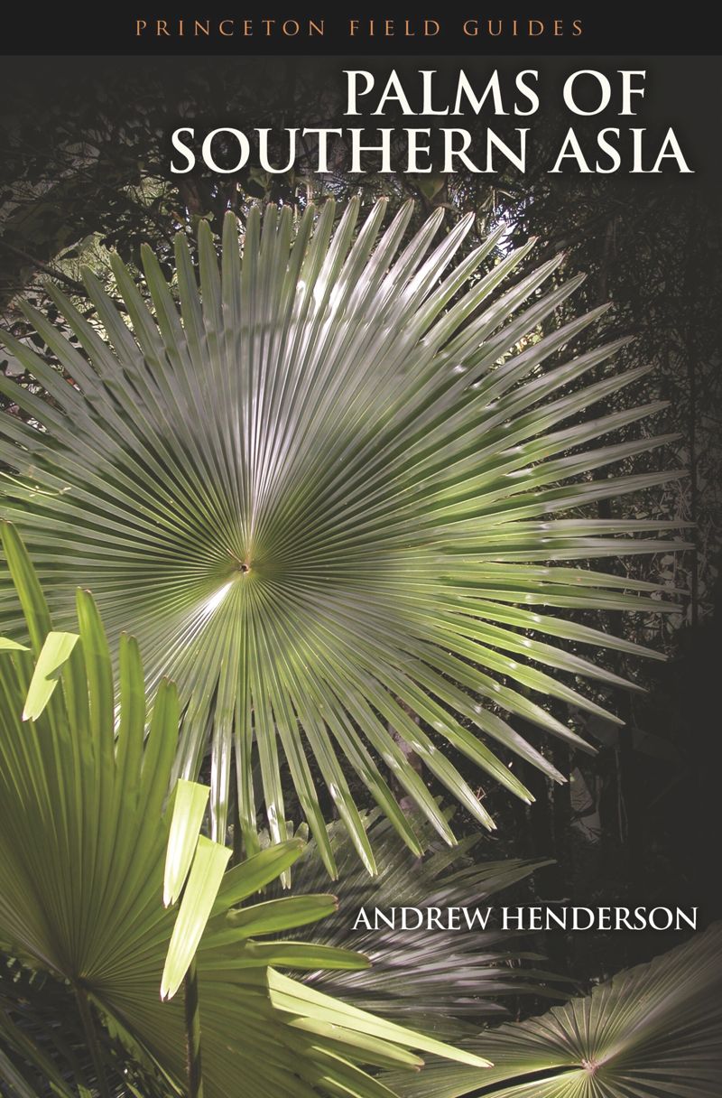 book: Palms of Southern Asia