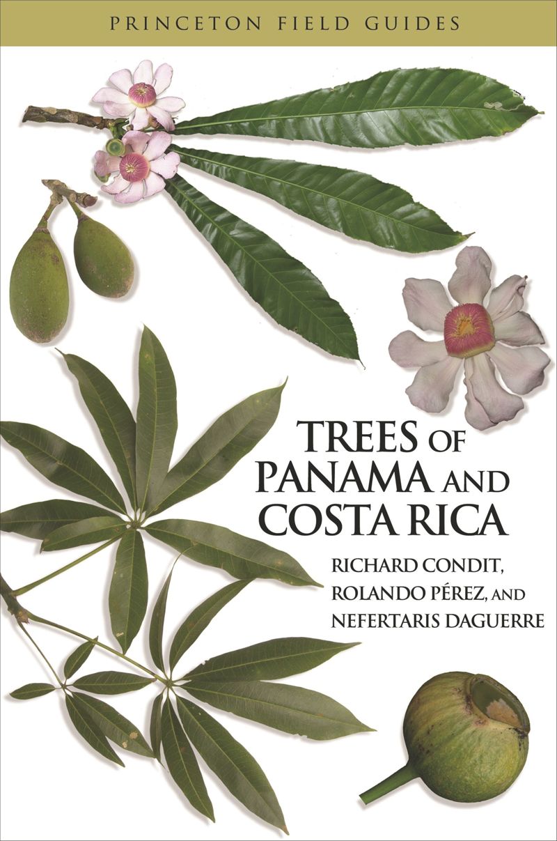 book: Trees of Panama and Costa Rica