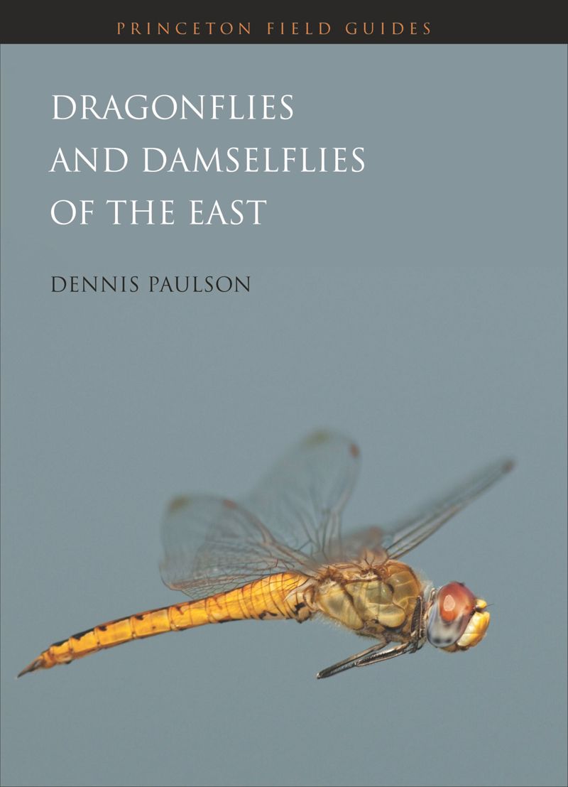 book: Dragonflies and Damselflies of the East