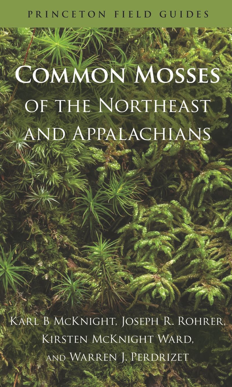 book: Common Mosses of the Northeast and Appalachians