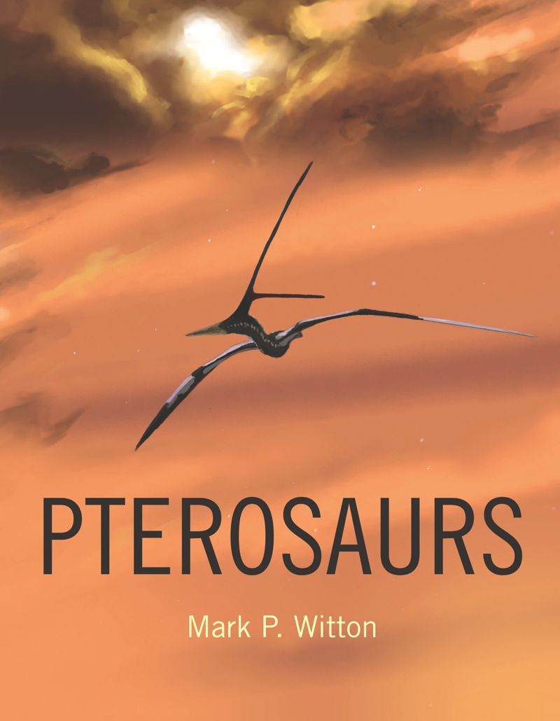 book: Pterosaurs