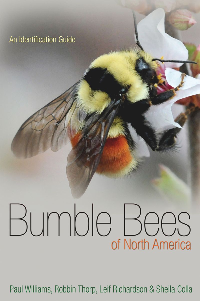 book: Bumble Bees of North America
