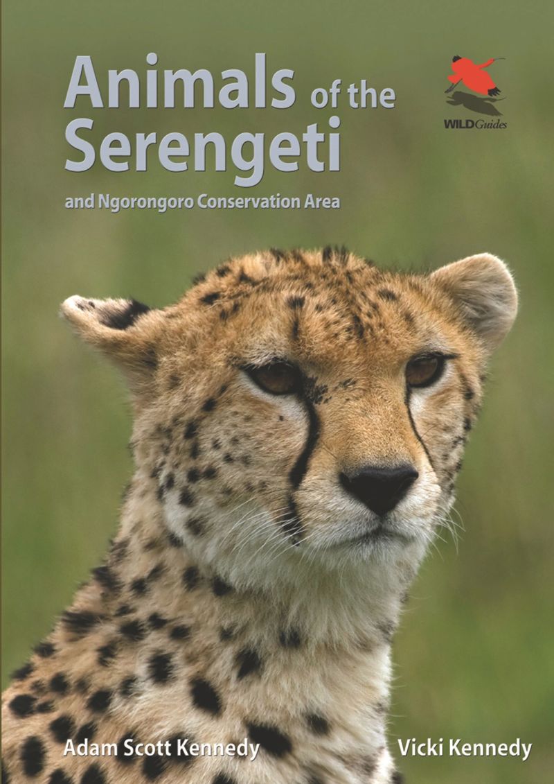 book: Animals of the Serengeti