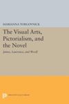 book: The Visual Arts, Pictorialism, and the Novel