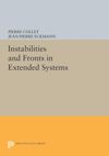 book: Instabilities and Fronts in Extended Systems