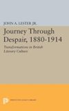 book: Journey Through Despair, 1880-1914