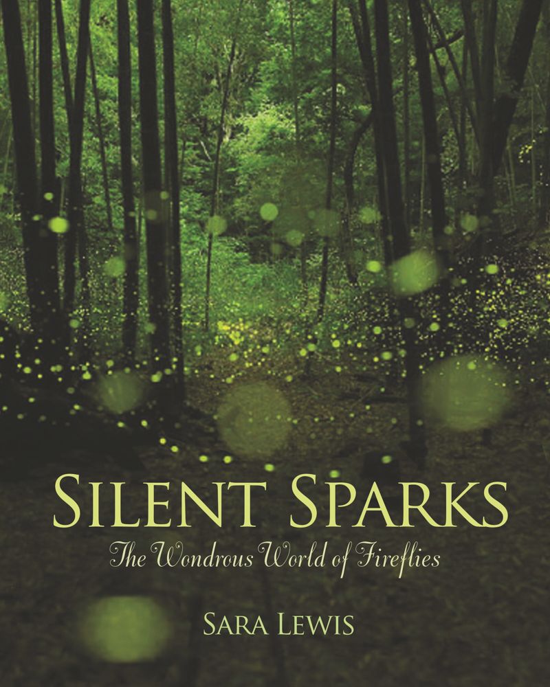 book: Silent Sparks