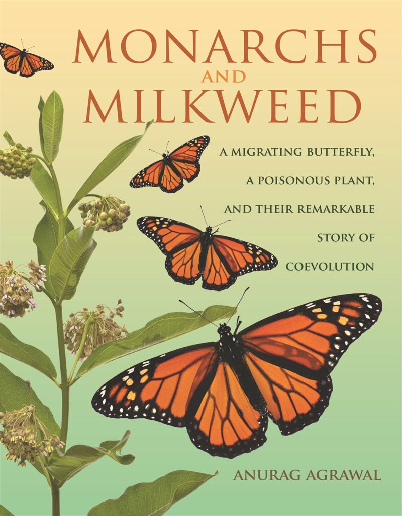 book: Monarchs and Milkweed