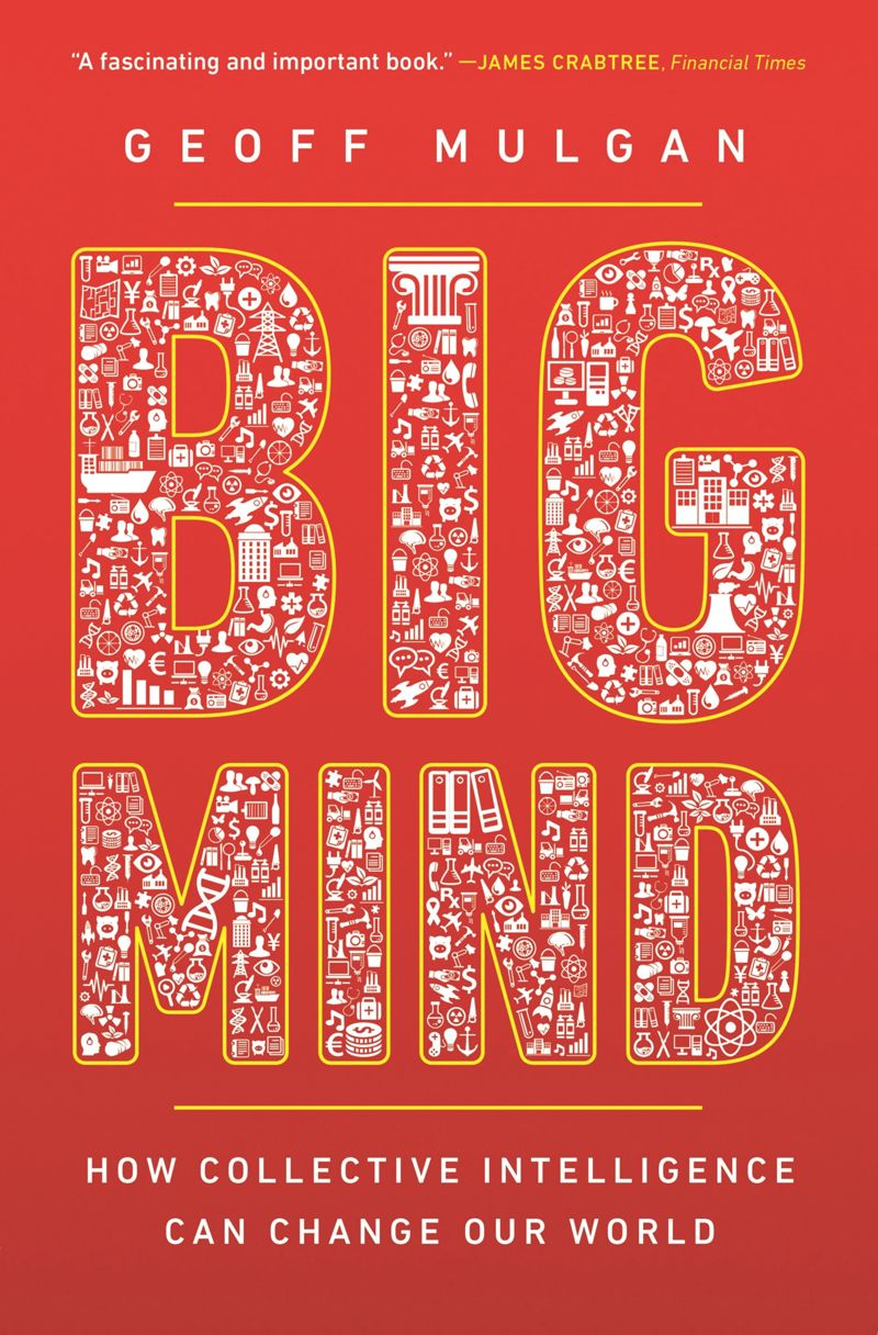 book: Big Mind