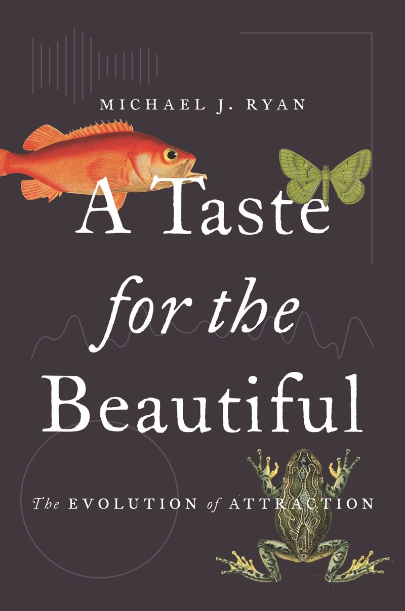 book: A Taste for the Beautiful
