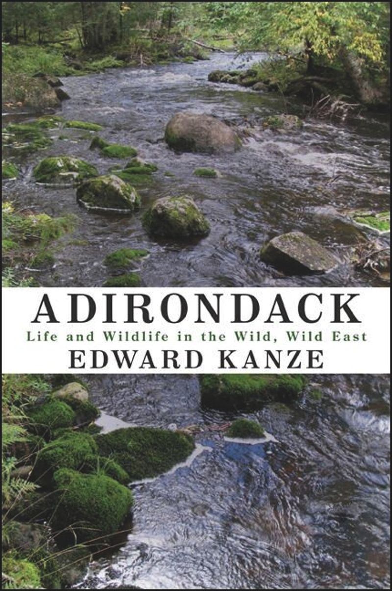 book: Adirondack
