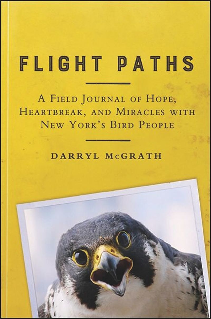 book: Flight Paths