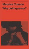 book: Why Delinquency?