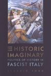 book: The Historic Imaginary