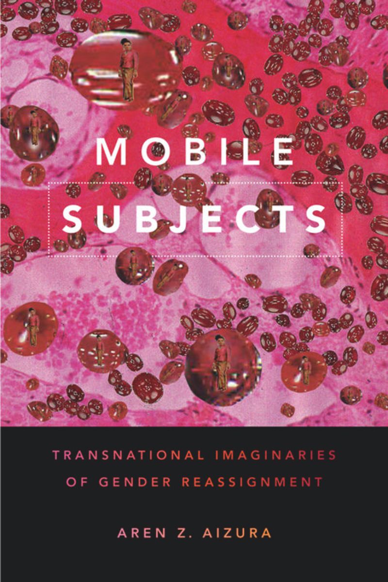 book: Mobile Subjects