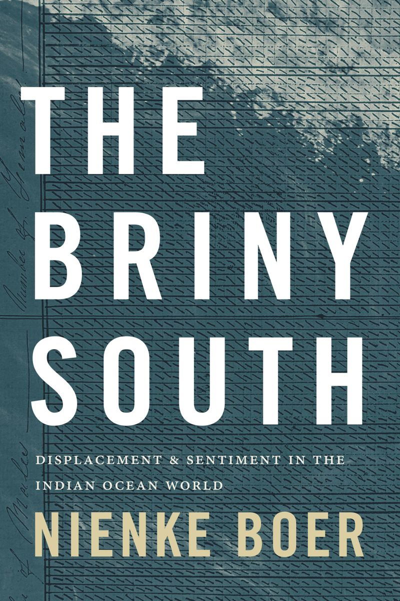 book: The Briny South