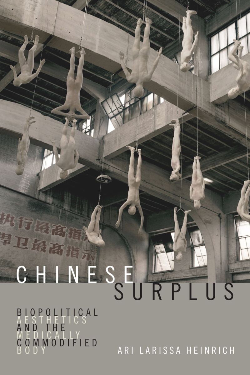 book: Chinese Surplus