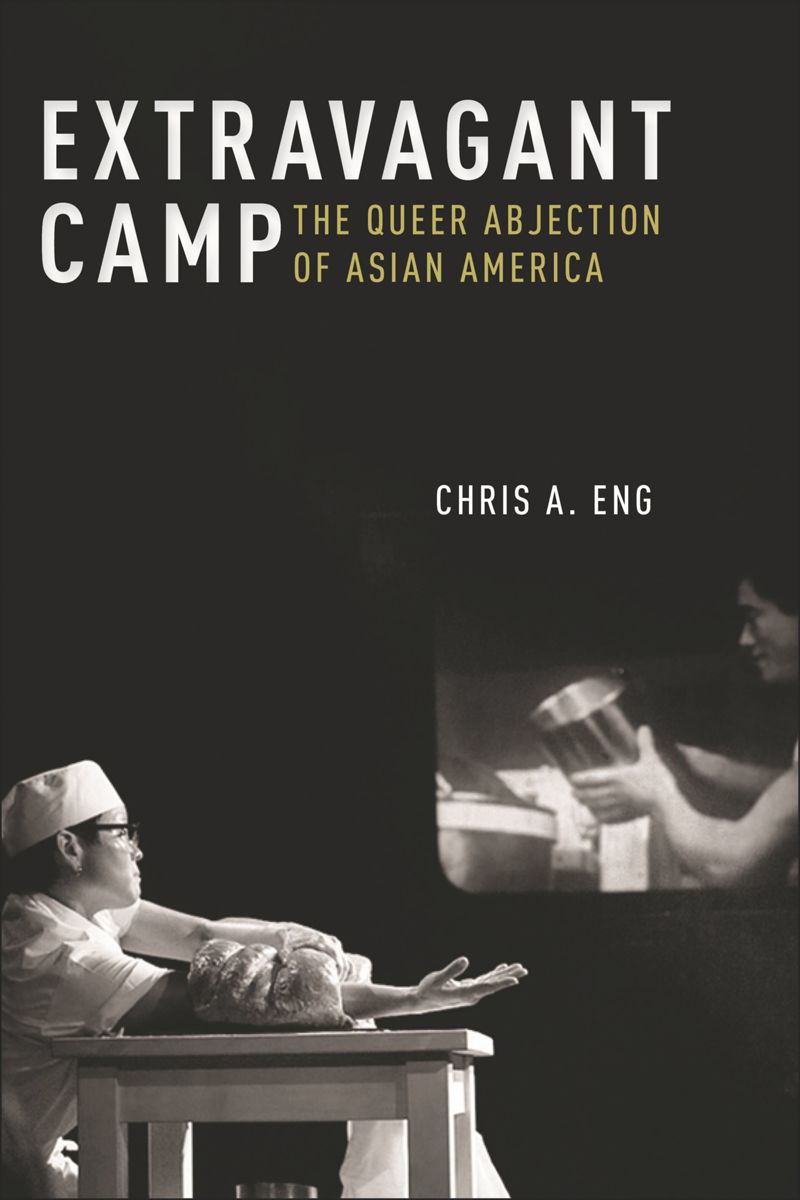 book: Extravagant Camp