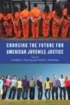 book: Choosing the Future for American Juvenile Justice