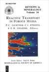 book: Reactive Transport in Porous Media