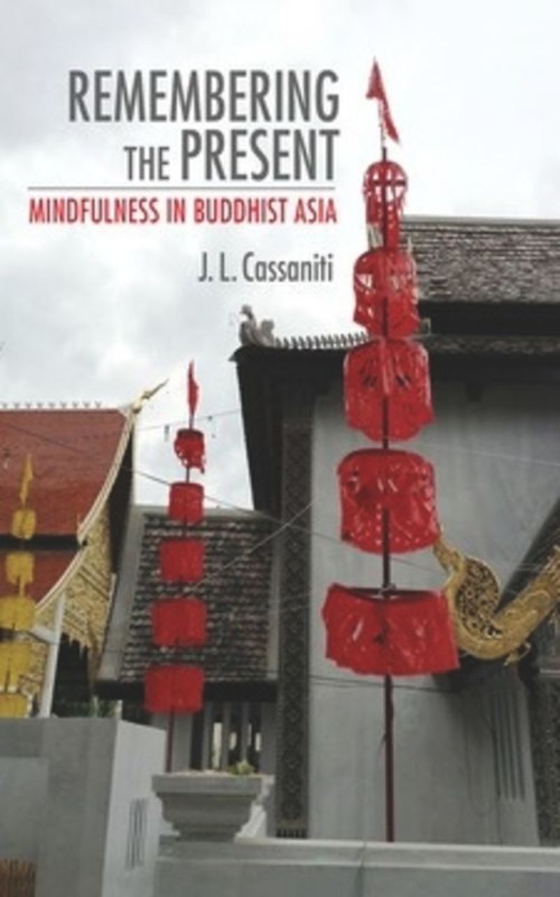 book: Remembering the Present