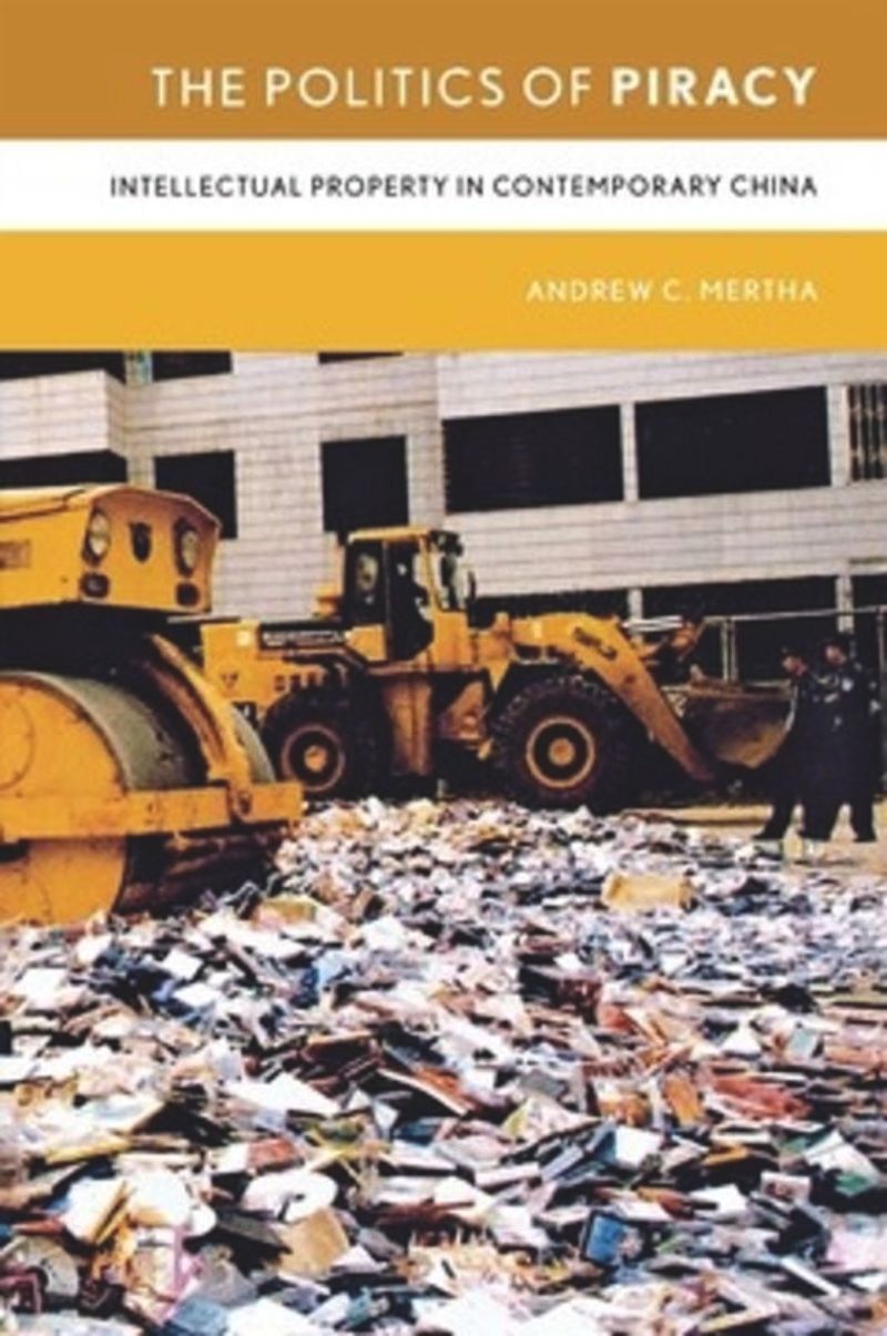 book: The Politics of Piracy