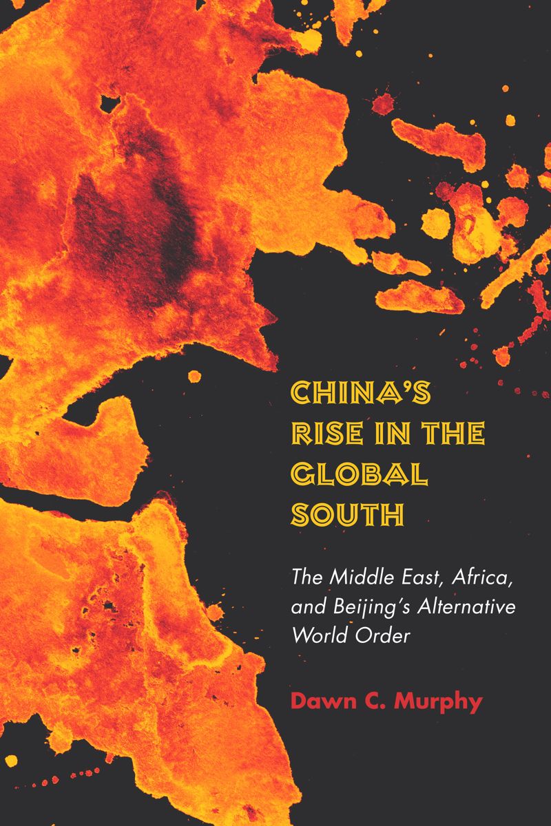 book: China's Rise in the Global South