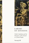 book: Labors of Division