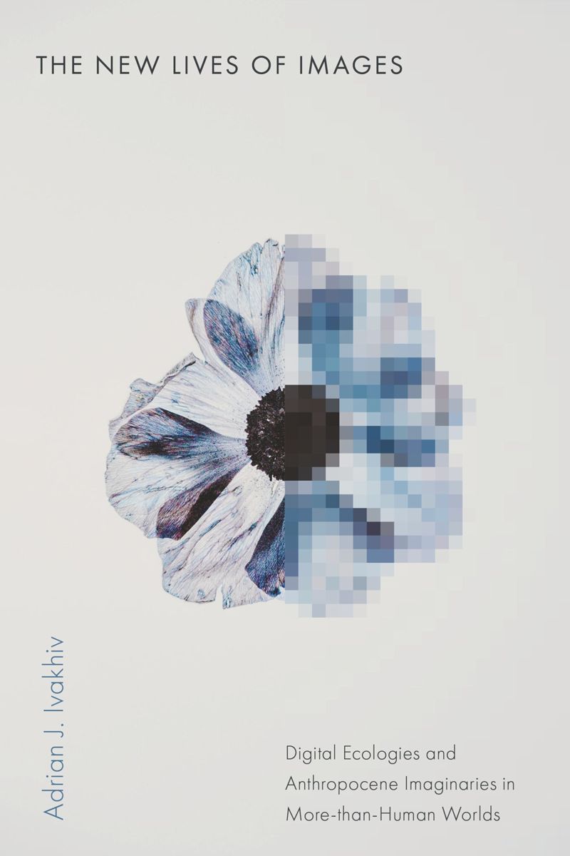 book: The New Lives of Images