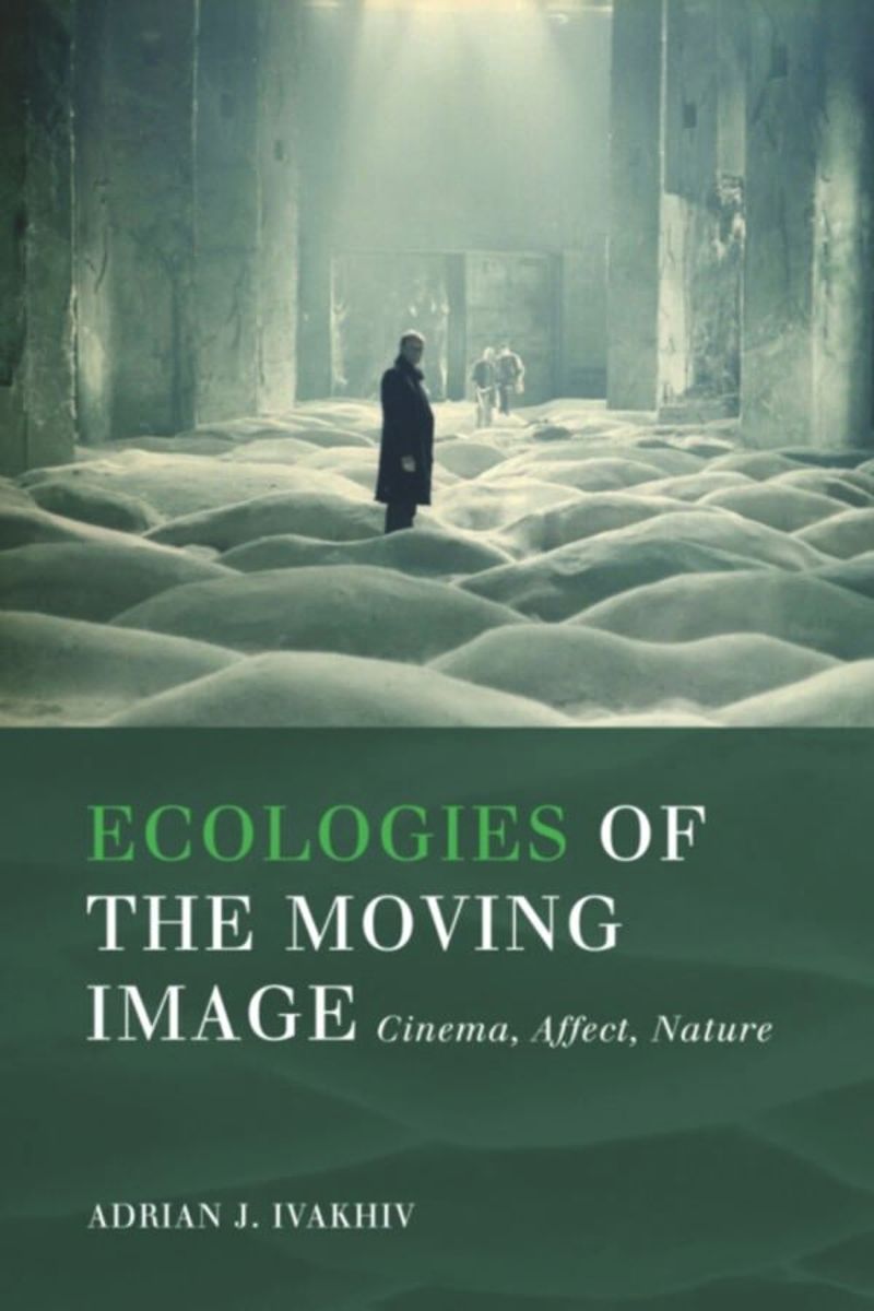 book: Ecologies of the Moving Image