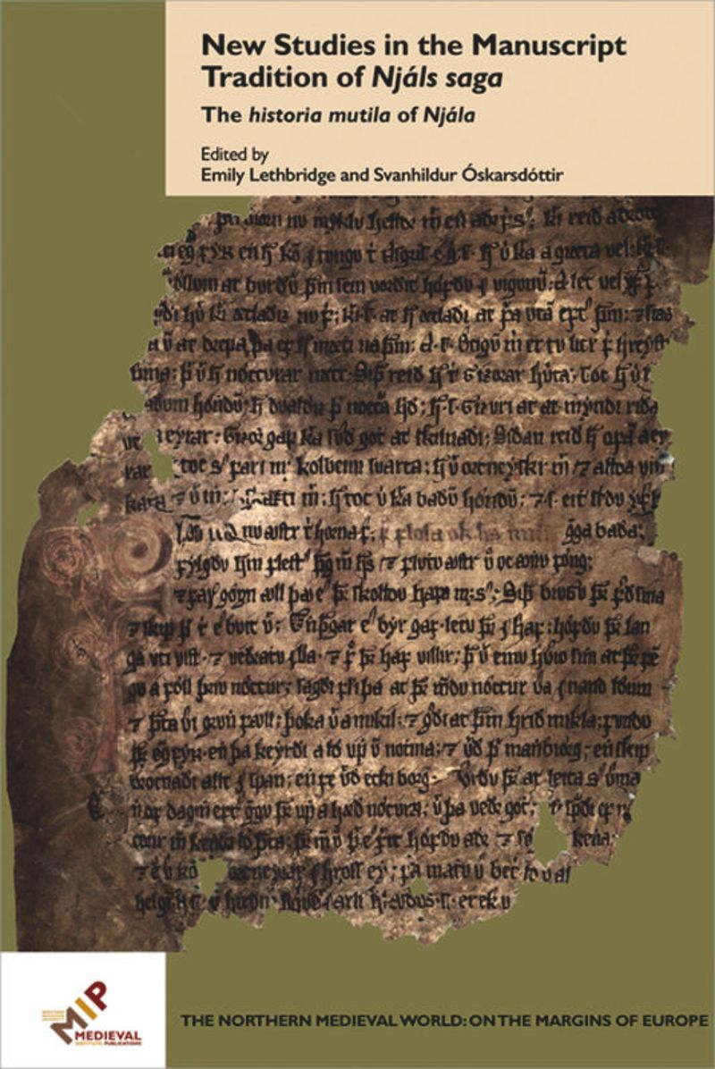 book: New Studies in the Manuscript Tradition of Njáls saga