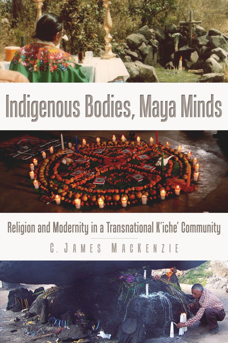book: Indigenous Bodies, Maya Minds