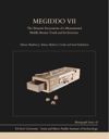 book: Megiddo VII