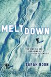 book: Meltdown