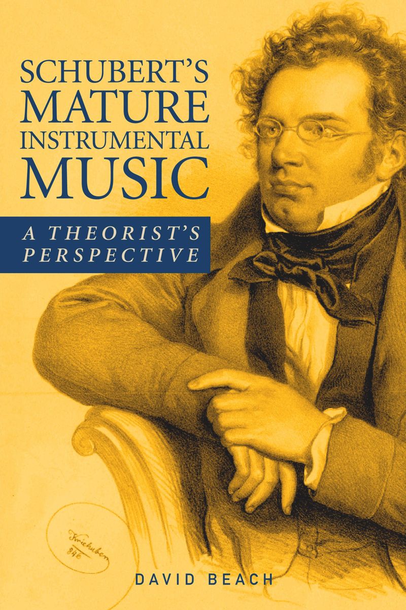 book: Schubert's Mature Instrumental Music