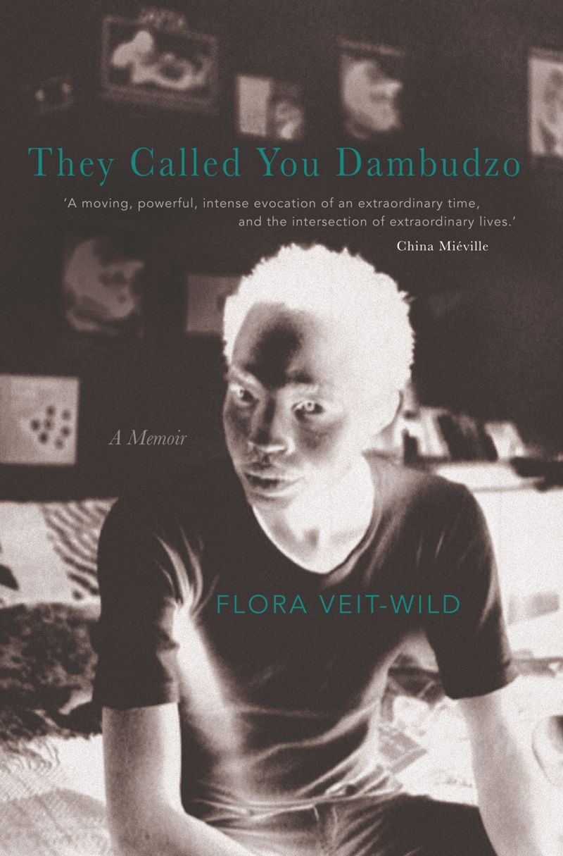 book: They Called You Dambudzo