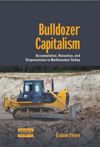 book: Bulldozer Capitalism